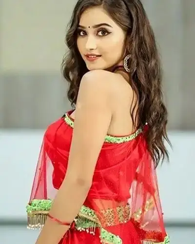 Call Girls Service Songadh